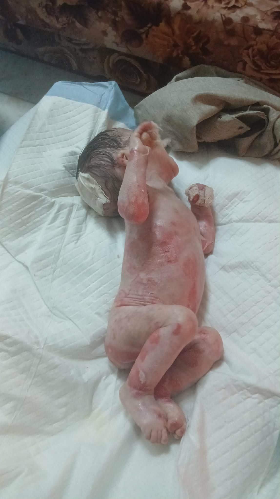 مناشدة عاجلة للرئيس عباس 